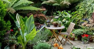 Five Best Rootstocks For Tiny Gardens