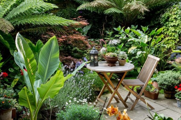 Five Best Rootstocks For Tiny Gardens Five Best Rootstocks For Tiny Gardens