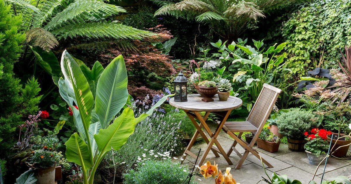 Five Best Rootstocks For Tiny Gardens